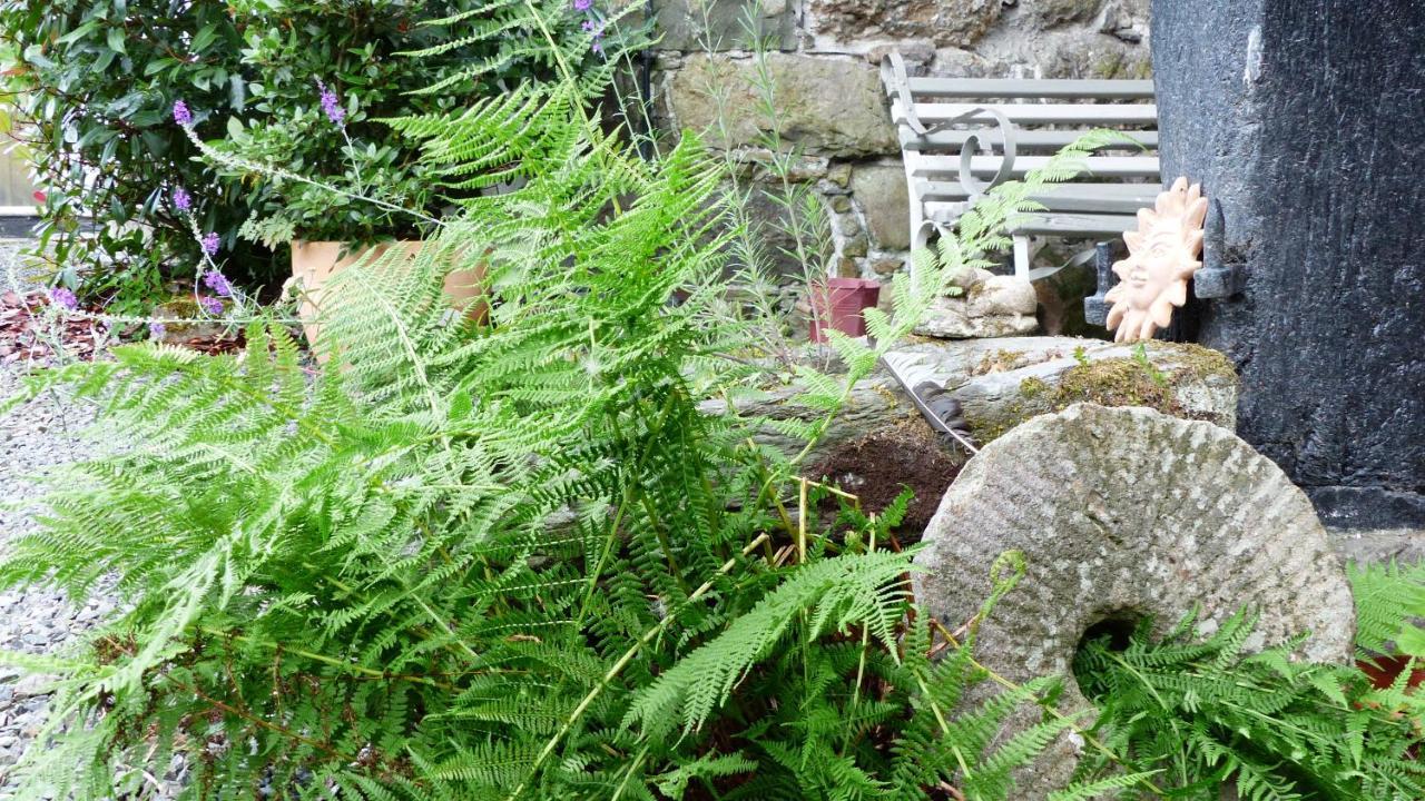 Apartamento Dolifor Llanwrthwl Exterior foto