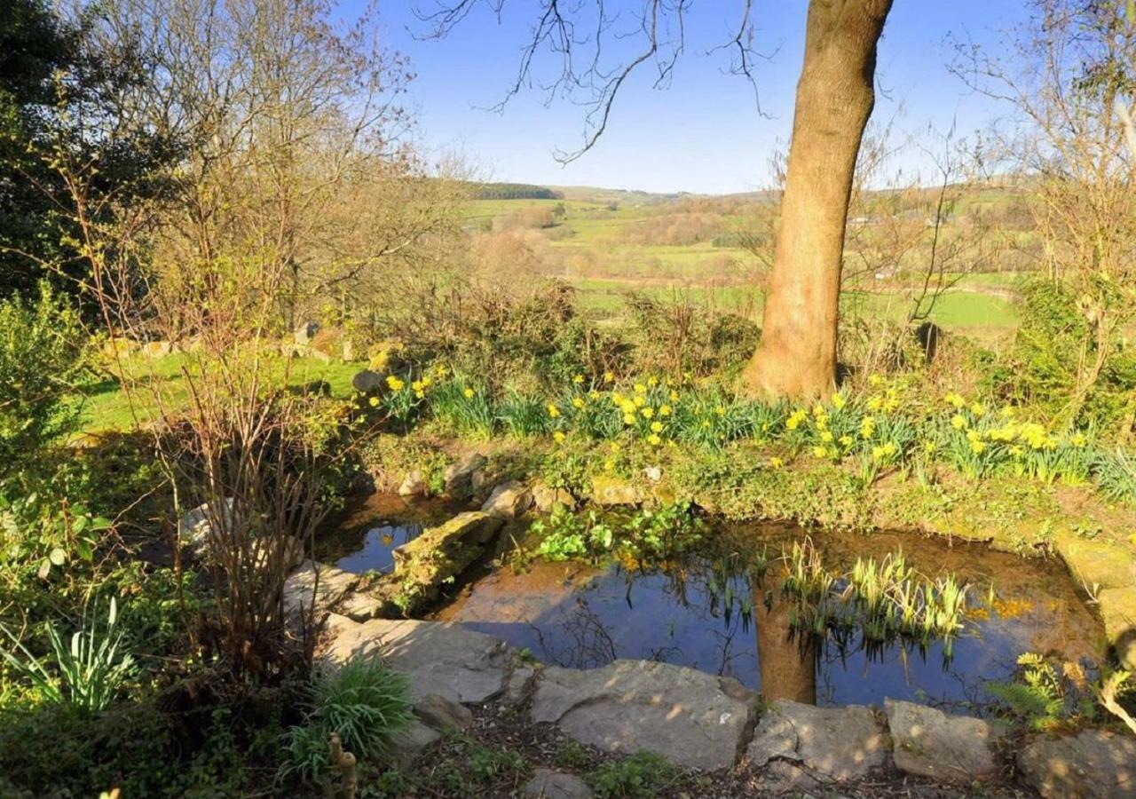 Apartamento Dolifor Llanwrthwl Exterior foto
